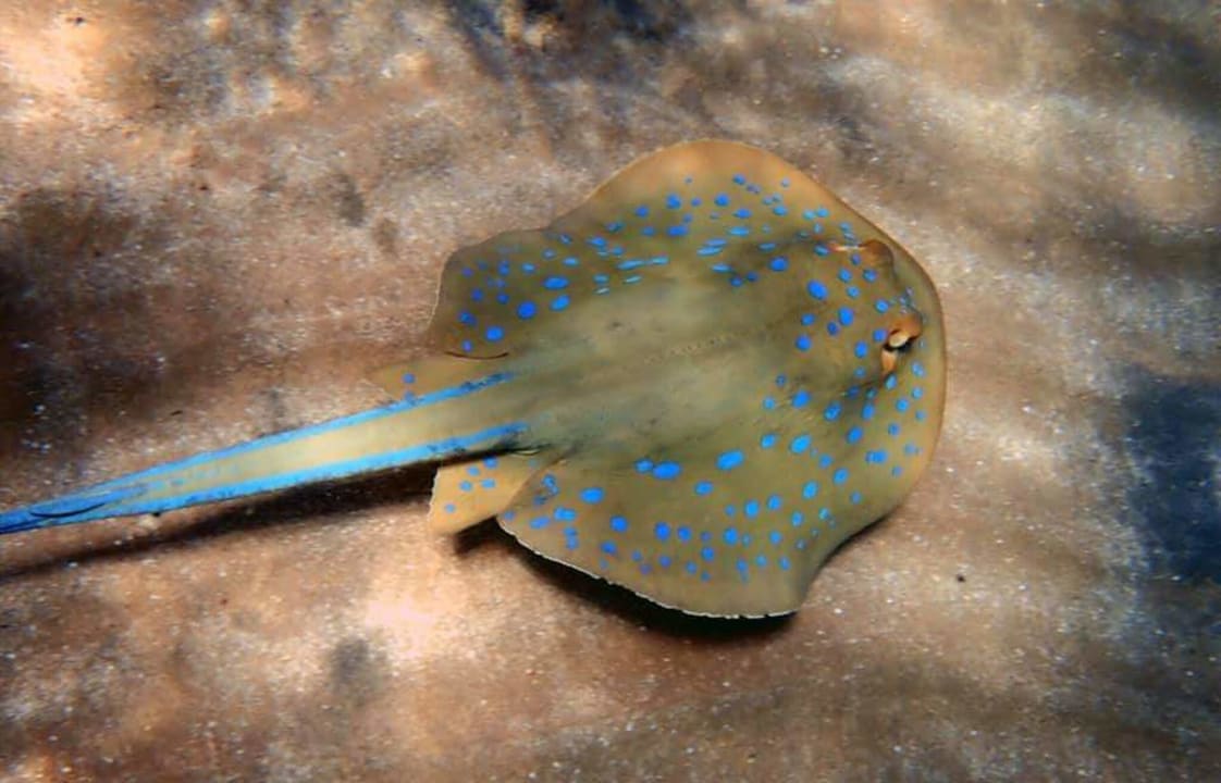 Sport & Freizeit Stella Beach Resort & Spa Makadi Bay