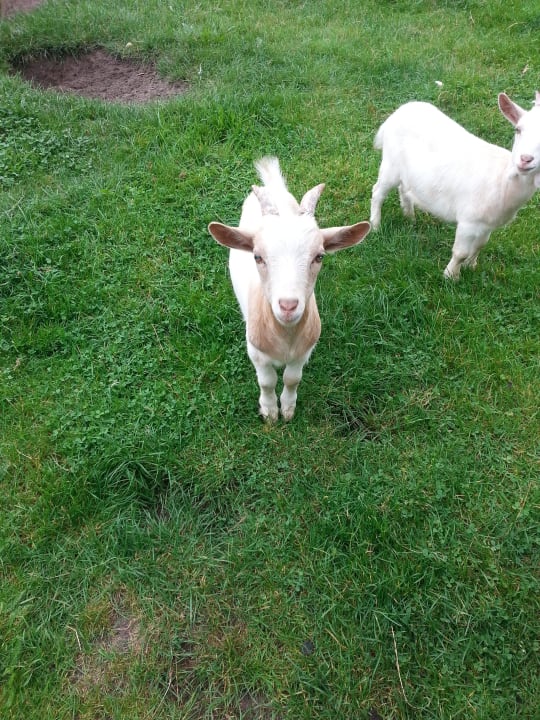 Süß  Ferienhof Röhling