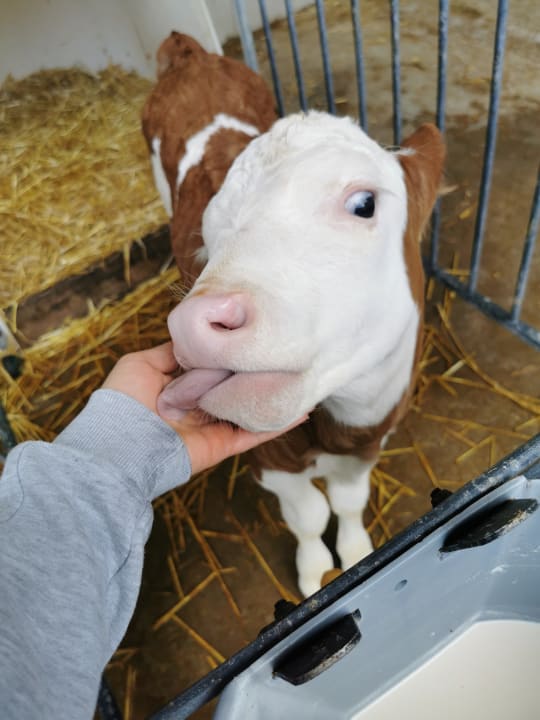 Sport & Freizeit Ferienhof Hausmann