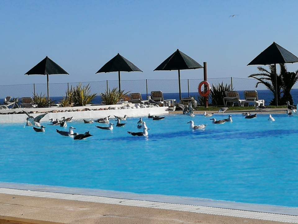 Pool Pestana Viking Beach & SPA Resort