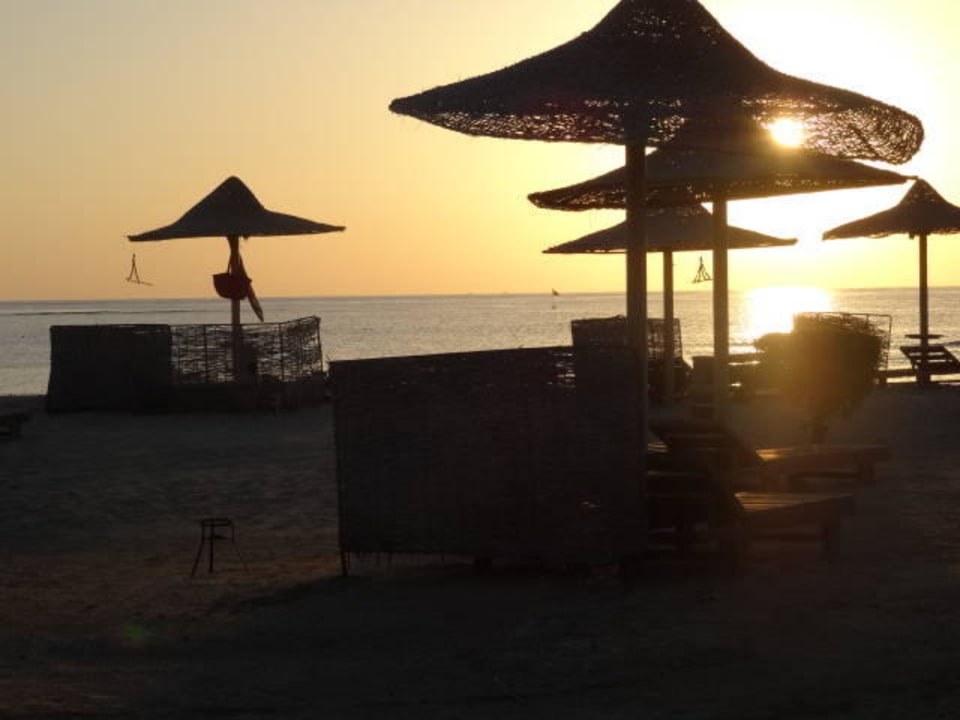 Unser Strandplatz Shams Alam Beach Resort