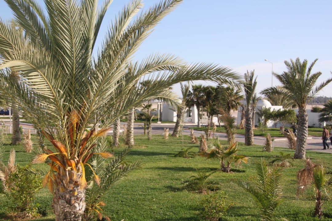 Garten Vincci Helios Beach
