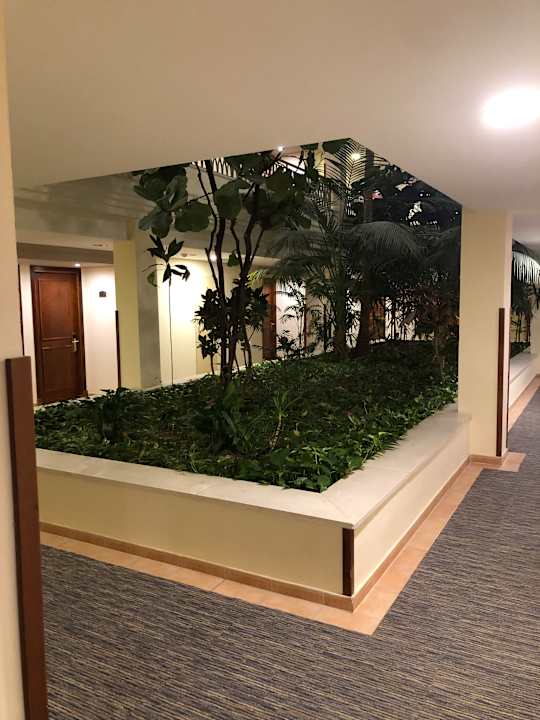 Sonstiges Valentin Sancti Petri