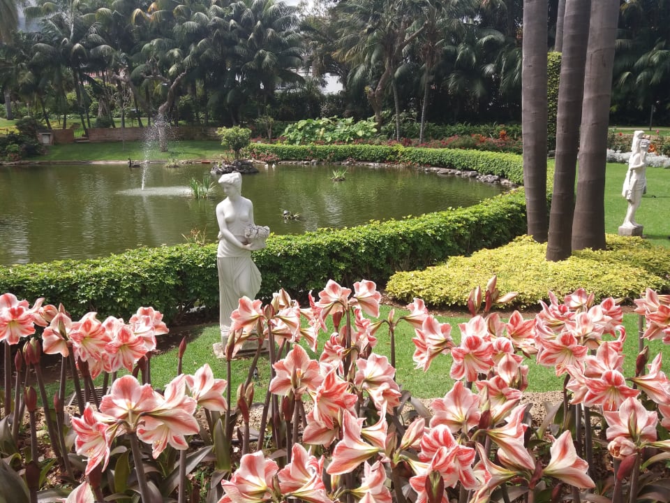 Ausblick Hotel Botanico & The Oriental Spa Garden