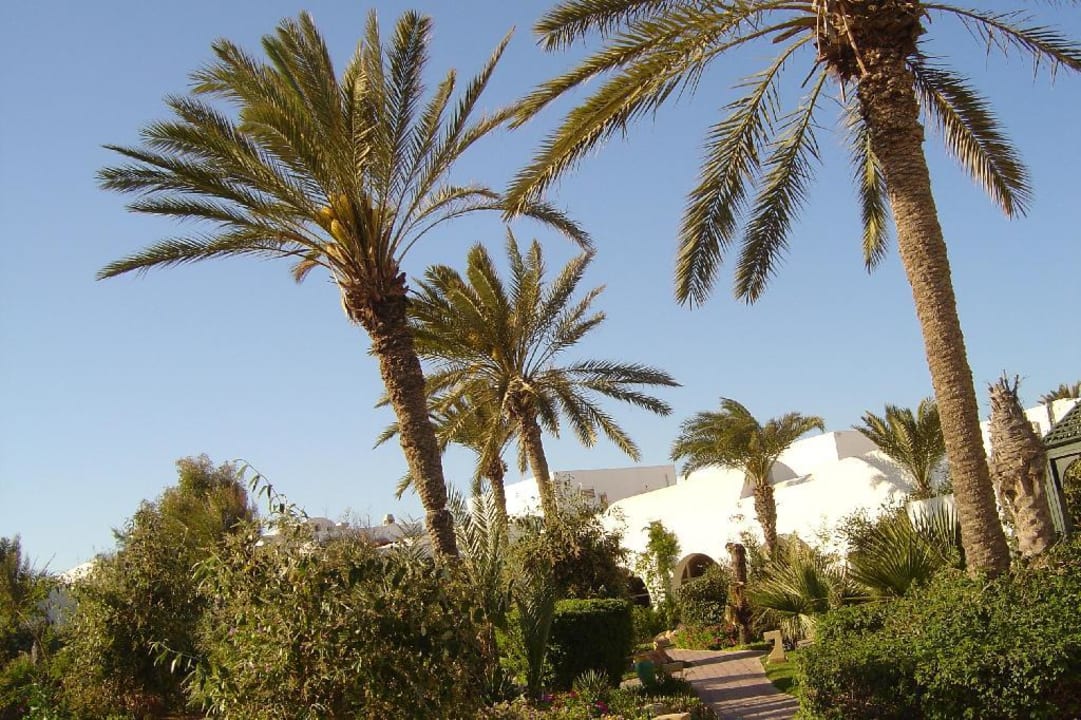 Grünanlage Royal Karthago Djerba