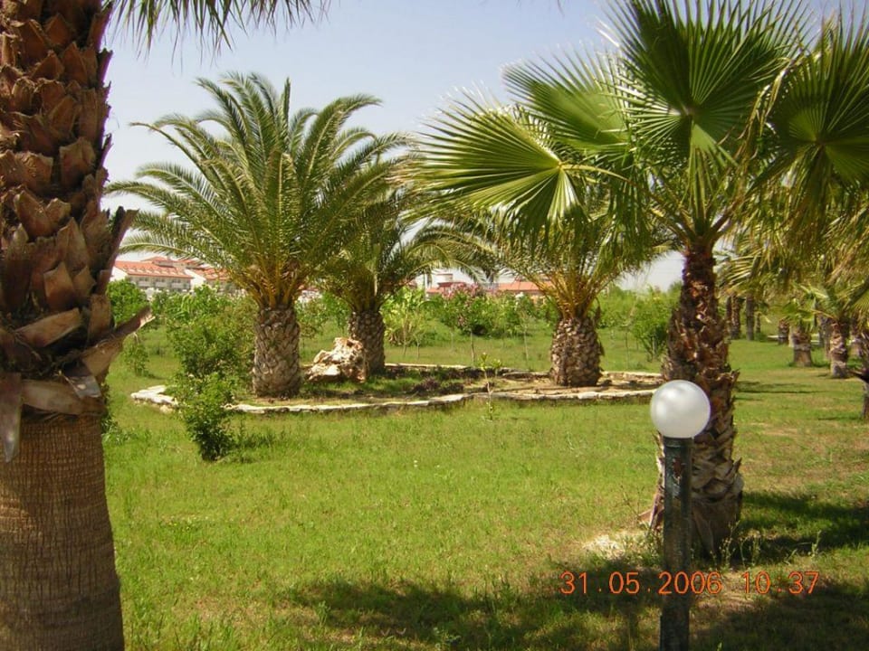 Gartenanlage Club Grand Side