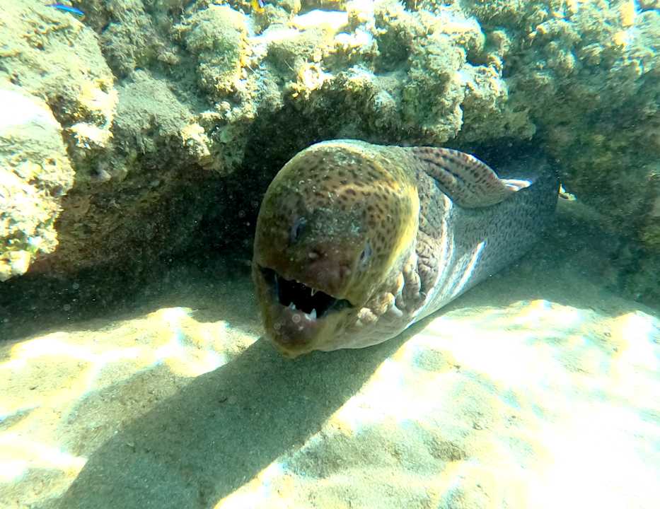 Strand Brayka Bay Resort