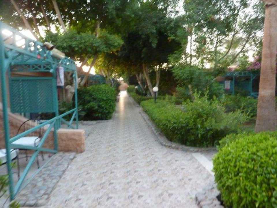 Weg zum Bungalow Giftun Azur Resort