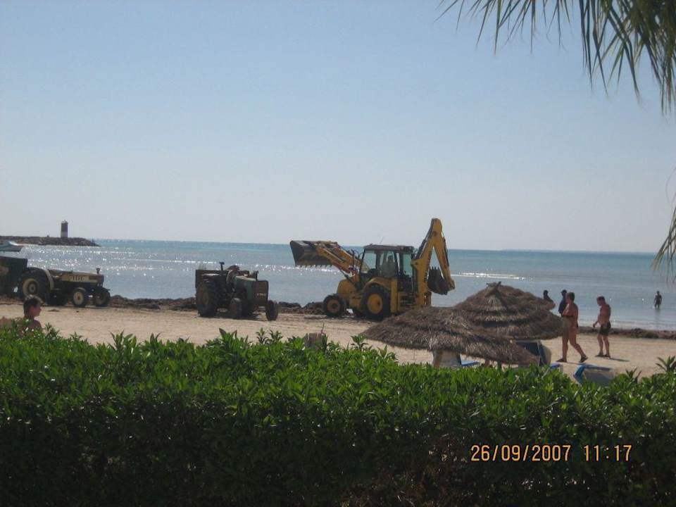 Aufregende Strandarbeiten Hotel Bravo Djerba