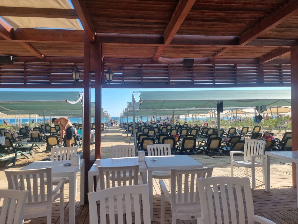 Gastro Well Palace Side