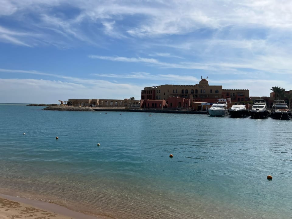 Ausblick Desert Rose
