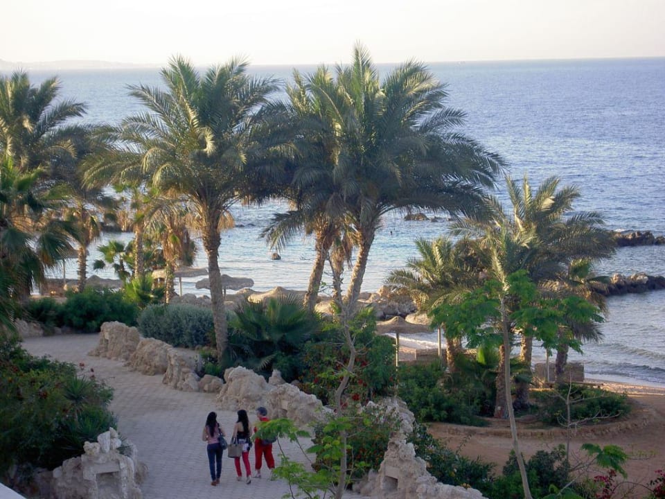 Das sehen wir aus dem Zimmer! Super! Pickalbatros Citadel Resort