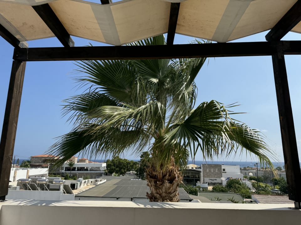 Ausblick The Costa Lindia Blue Star - Adults only