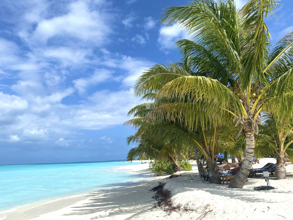 Pool Villa Park Sun Island