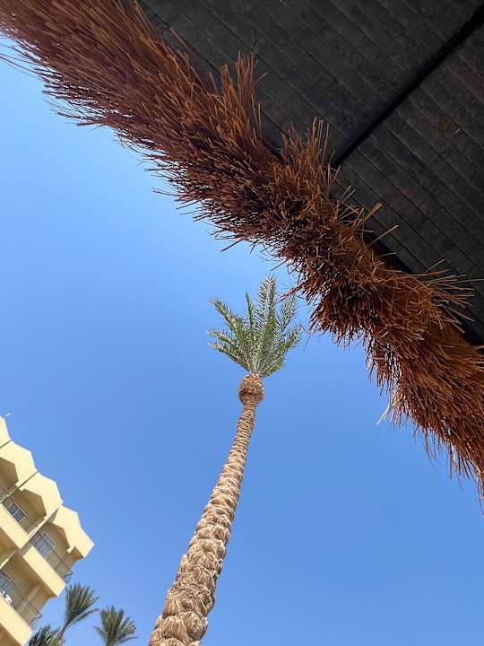 Strand Regina Resort and Aqua Park Hurghada