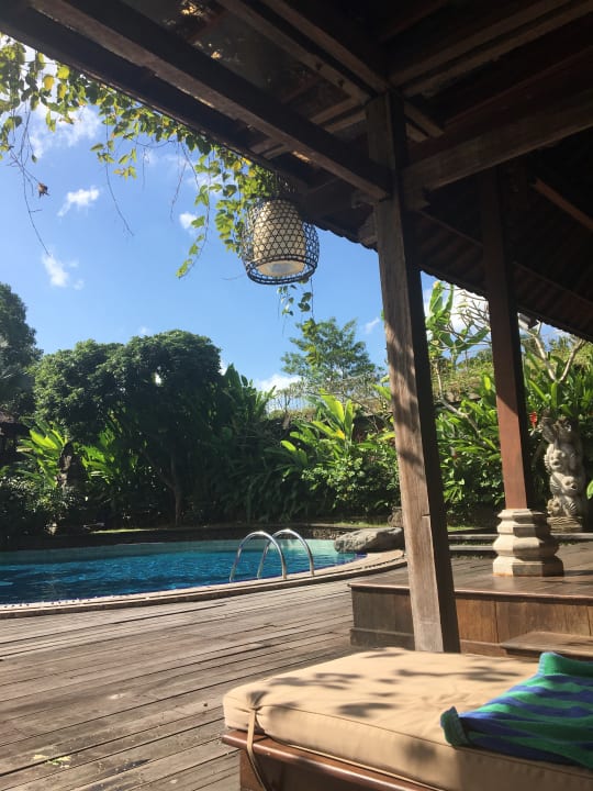 Pool Hotel Bhuwana Ubud