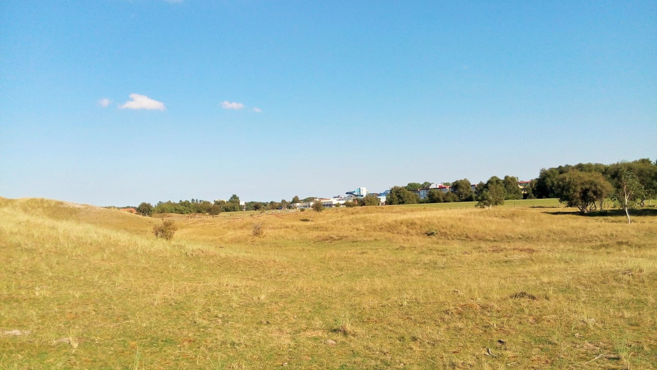 Blick von der Düne Ferienwohnungen Ferienpark Weissenhäuser Strand