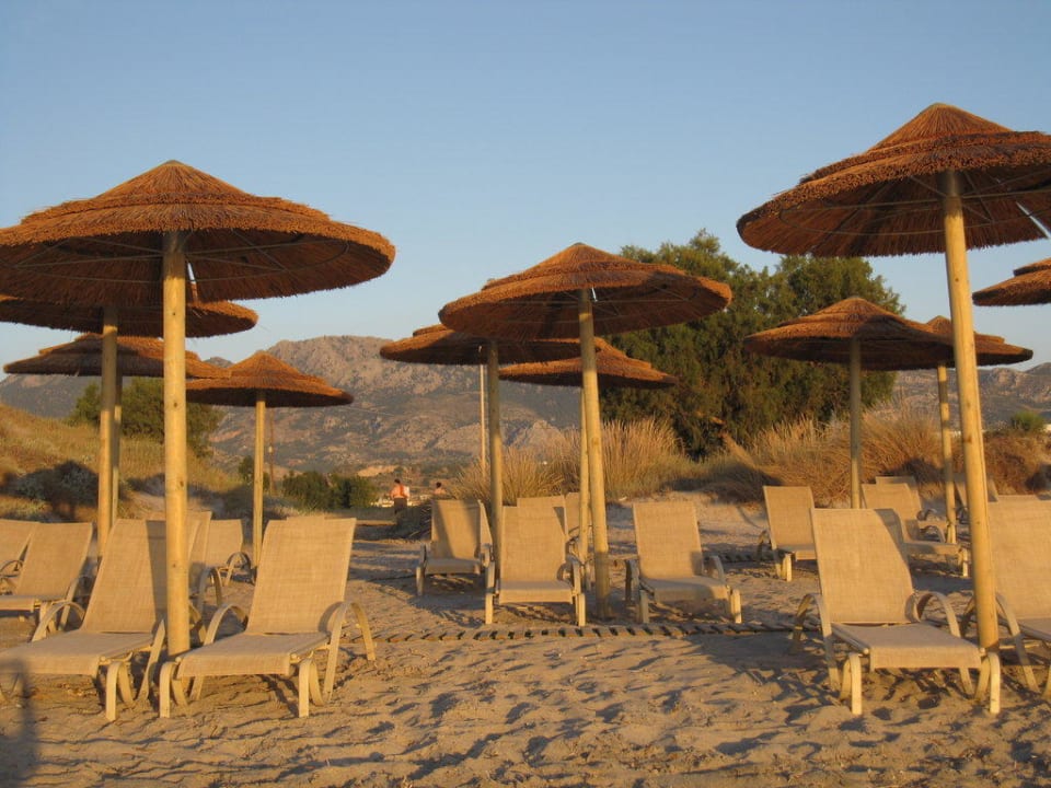 Neue moderne Liegen - stabile Sonnenschirme TUI BLUE Palazzo del Mare