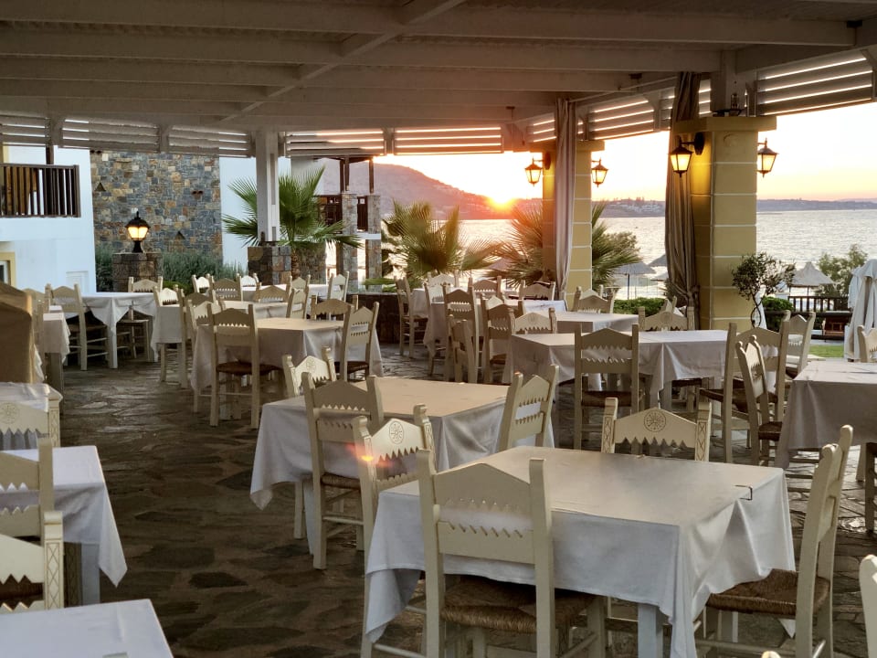 Gastro Alexander Beach Hotel & Village Resort