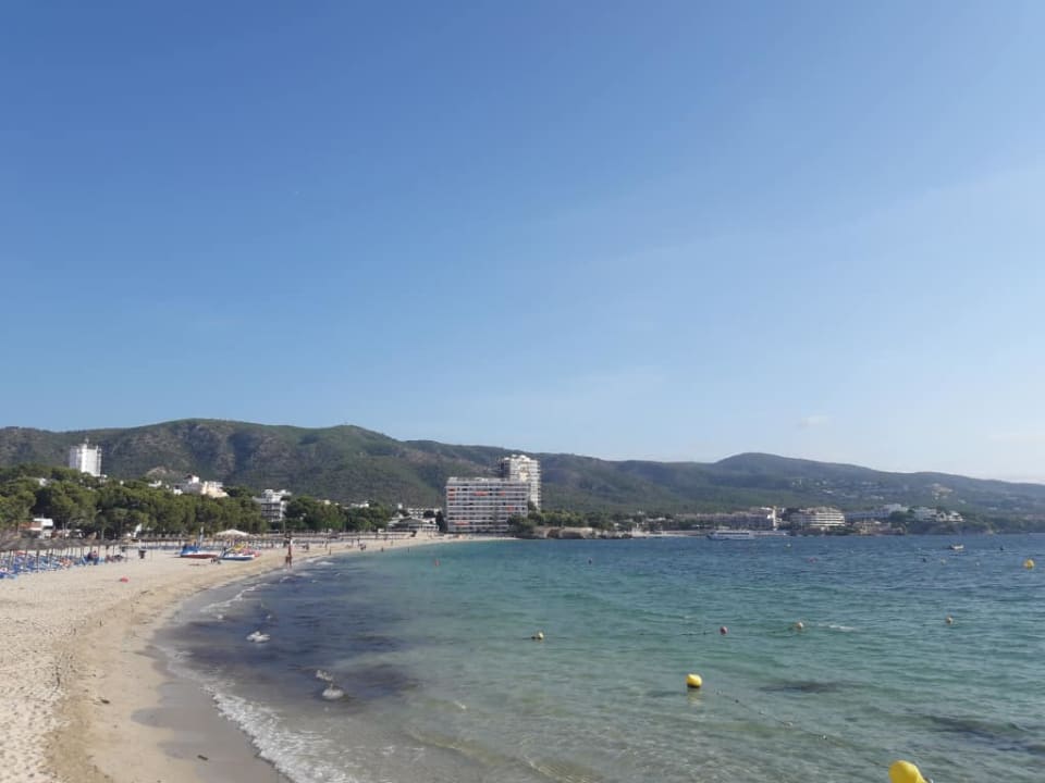 Główna plaża Palmanova Globales Palmanova Palace