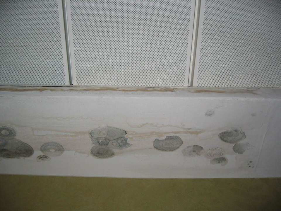 Mängel Hotel AH Granada Palace