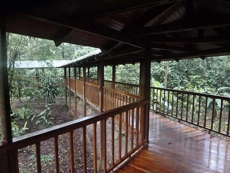 Wege im Garten Hotel Selva Verde Lodge & Rainforest Reserve