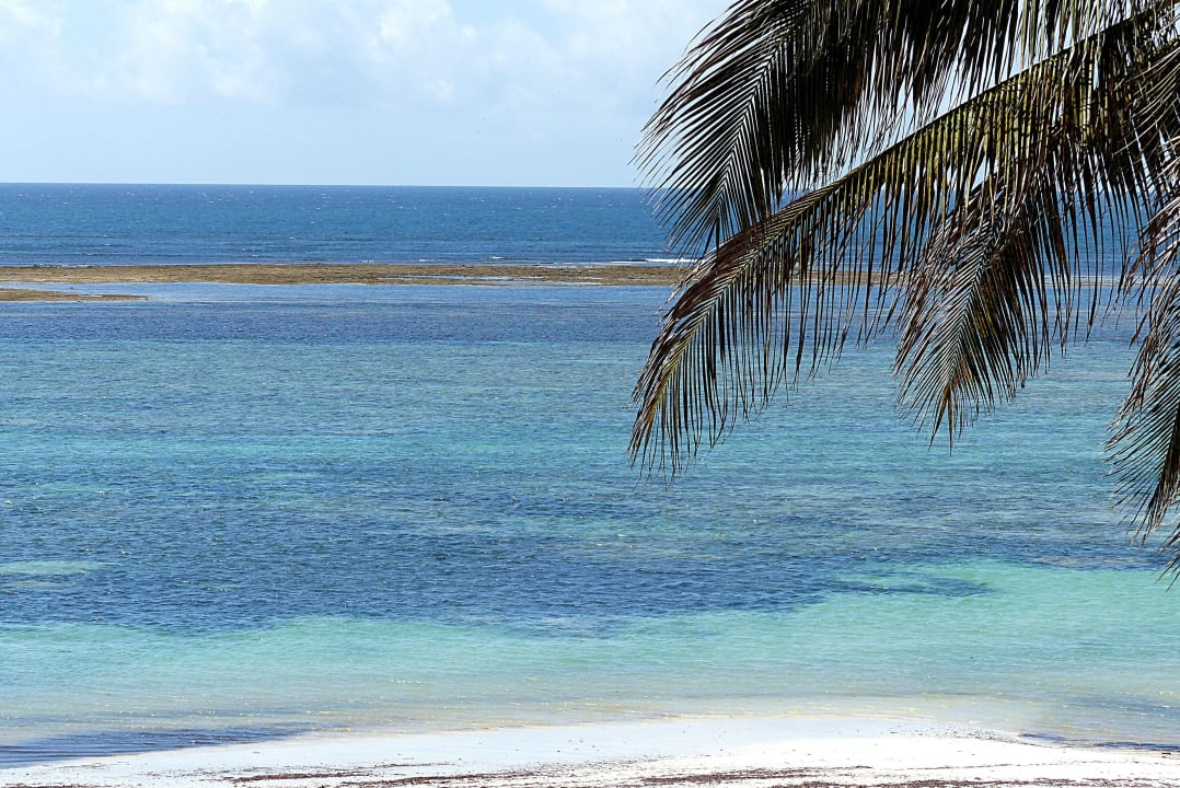Strand bei Ebbe Hotel Southern Palms Beach Resort