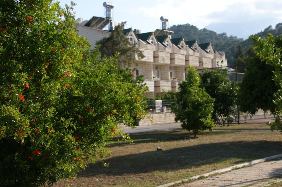 Gebaut wie vom Zuckerbäcker Havana Hotel
