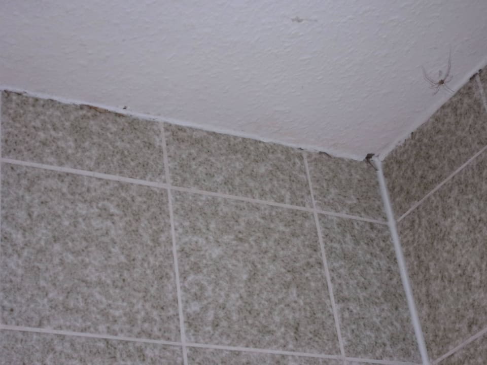 Schimmel defekte Fliesen Hotel Fritz