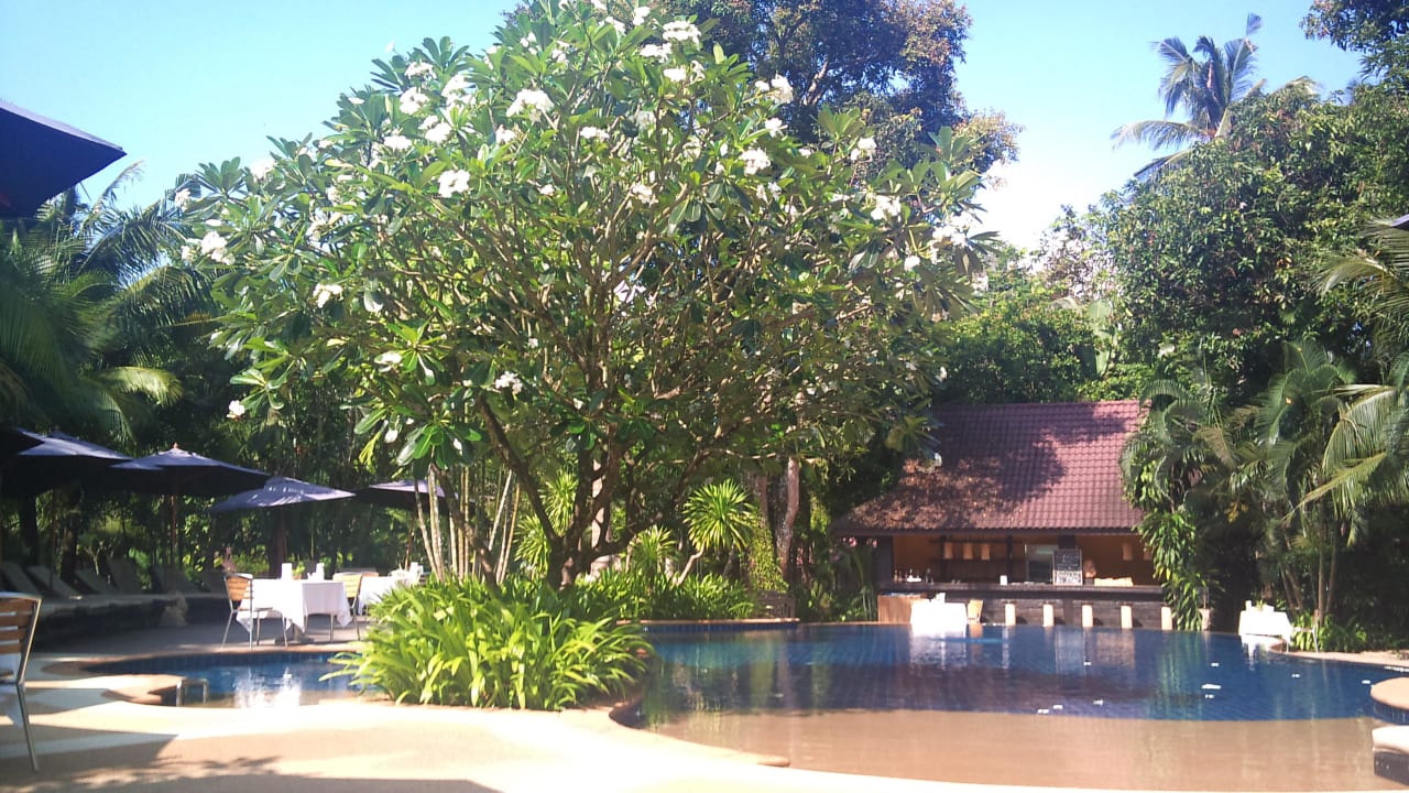 Pool mit Poolbar  Annika Koh Chang