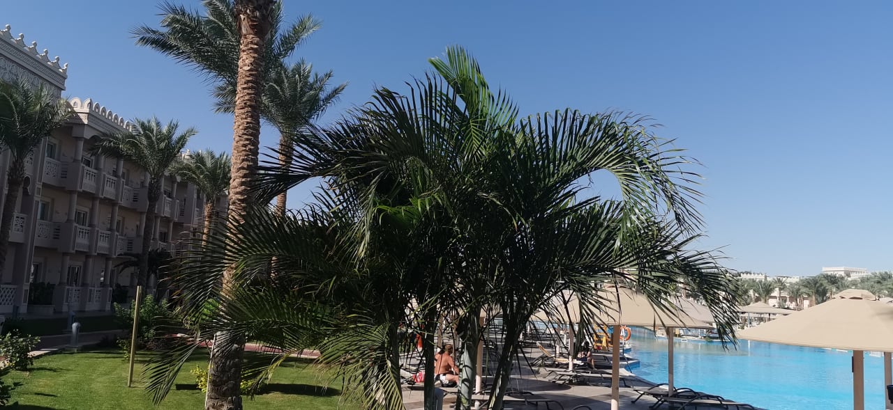 Strand Pickalbatros Palace Resort