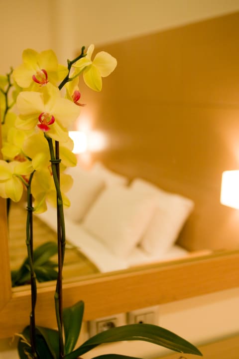 Zimmer Onira Boutique Hotel