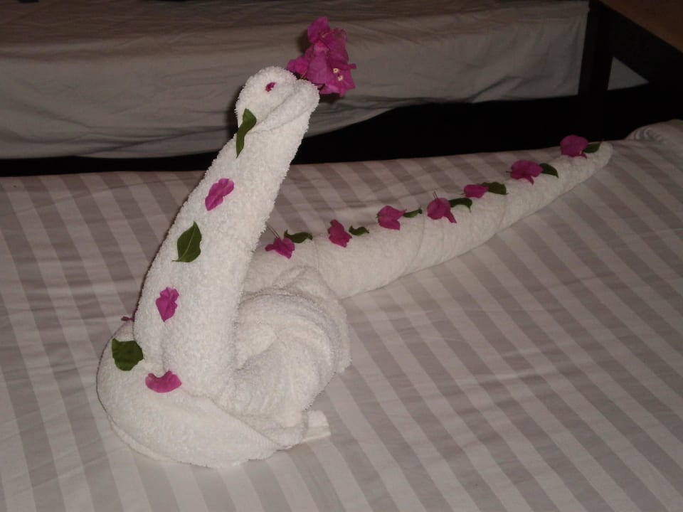 Hotel The Three Corners Sea Beach Resort Three Corners Sea Beach Resort