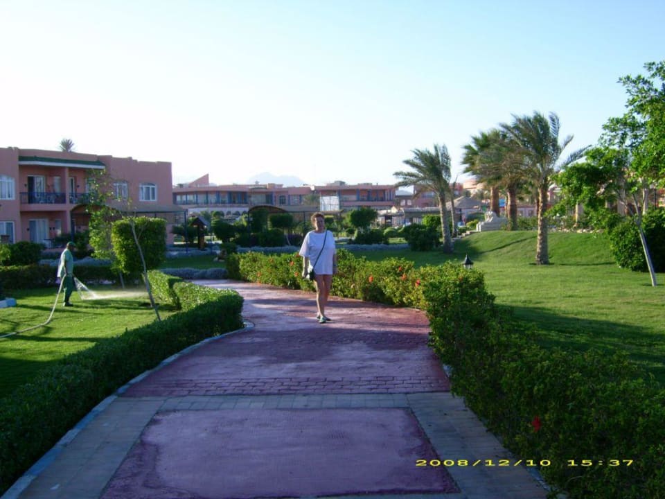 Außenanlage Pickalbatros Royal Moderna Resort-Sharm El Sheikh
