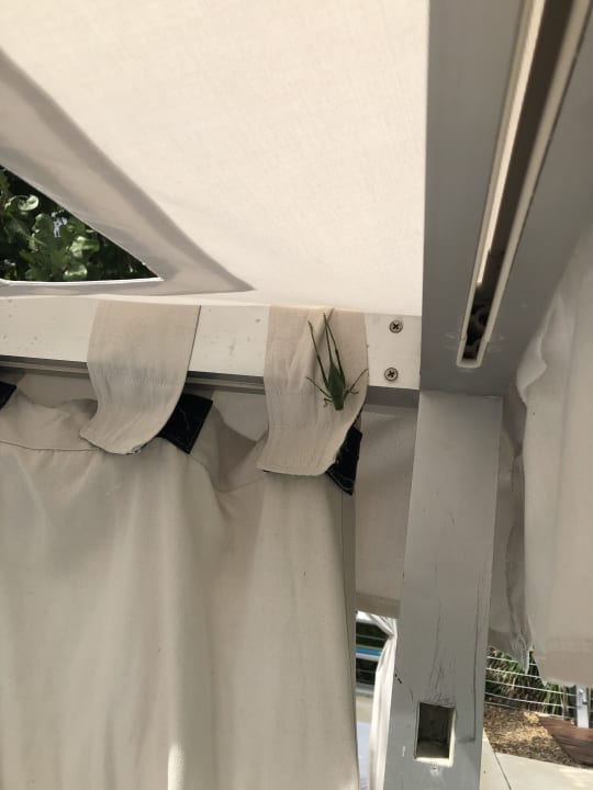 Zimmer Blue Diamond Luxury Boutique Hotel