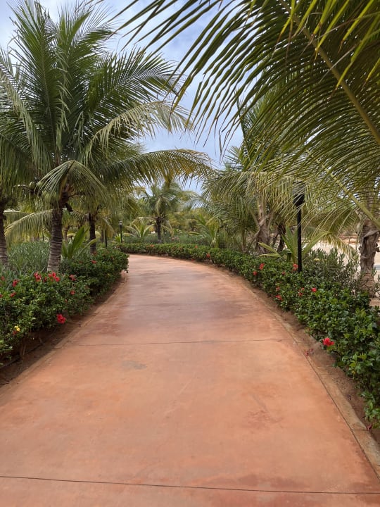 Gartenanlage Hotel Riu Touareg