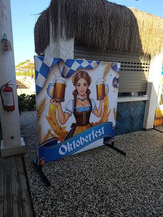 Strand Seashell Vega