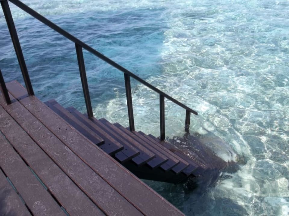 Zugang zum Meer von den Wasserbungalows Adaaran Select Hudhuran Fushi - Premium All Inclusive