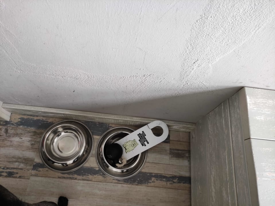 Zimmer Bretterbude Heiligenhafen