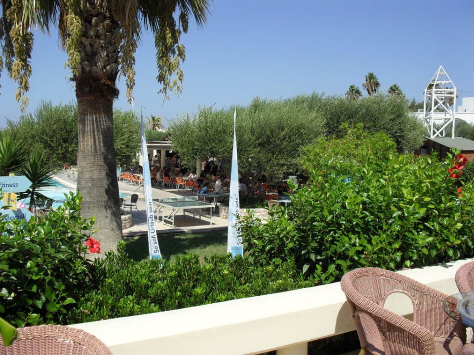 Bar am Pool TUI KIDS CLUB Alex Beach