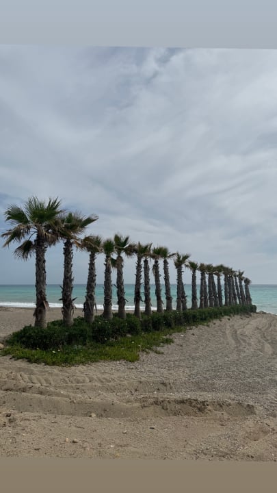 Strand Calimera Serra Palace