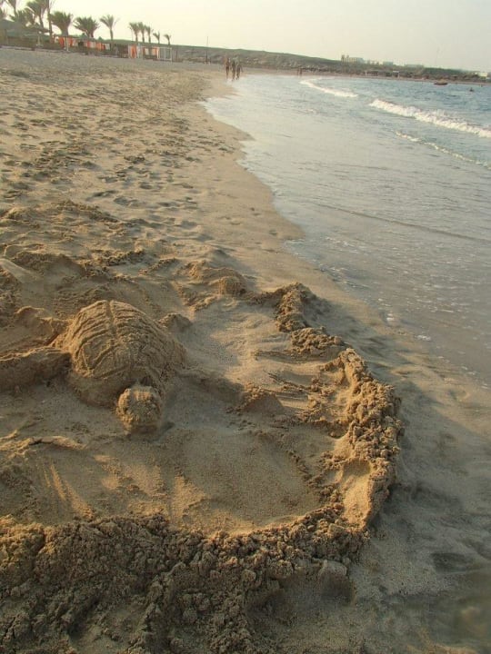 El Malikia Abu Dabbab Resort Marsa Alam Malikia Resort Abu Dabbab