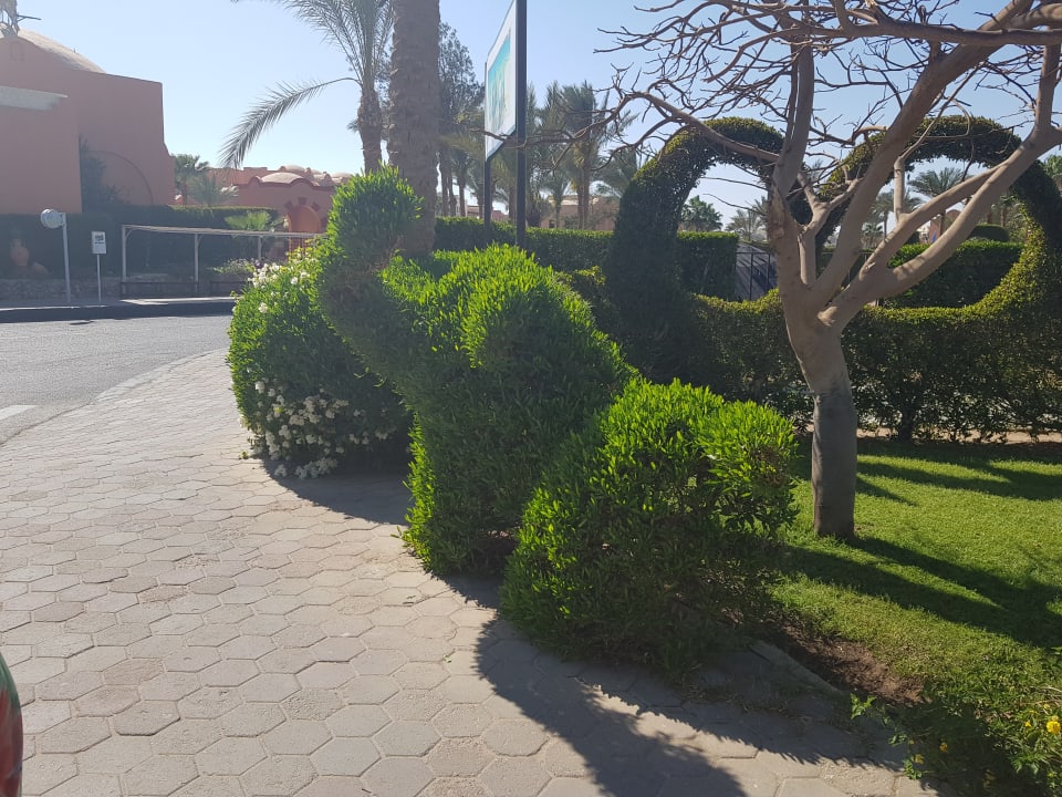 Gartenanlage Jaz Makadi Oasis Resort