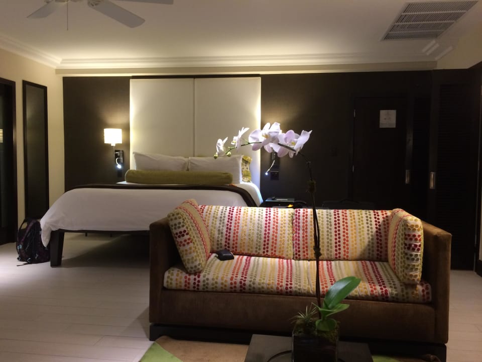 Junior Suite The Palms Hotel & Spa