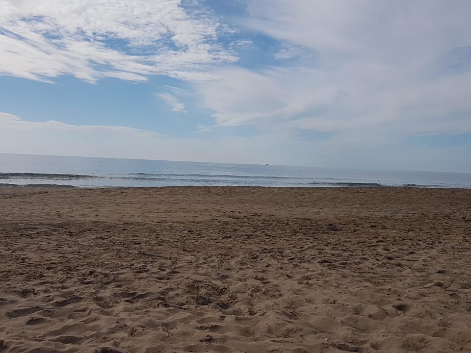 Strand Paloma Oceana