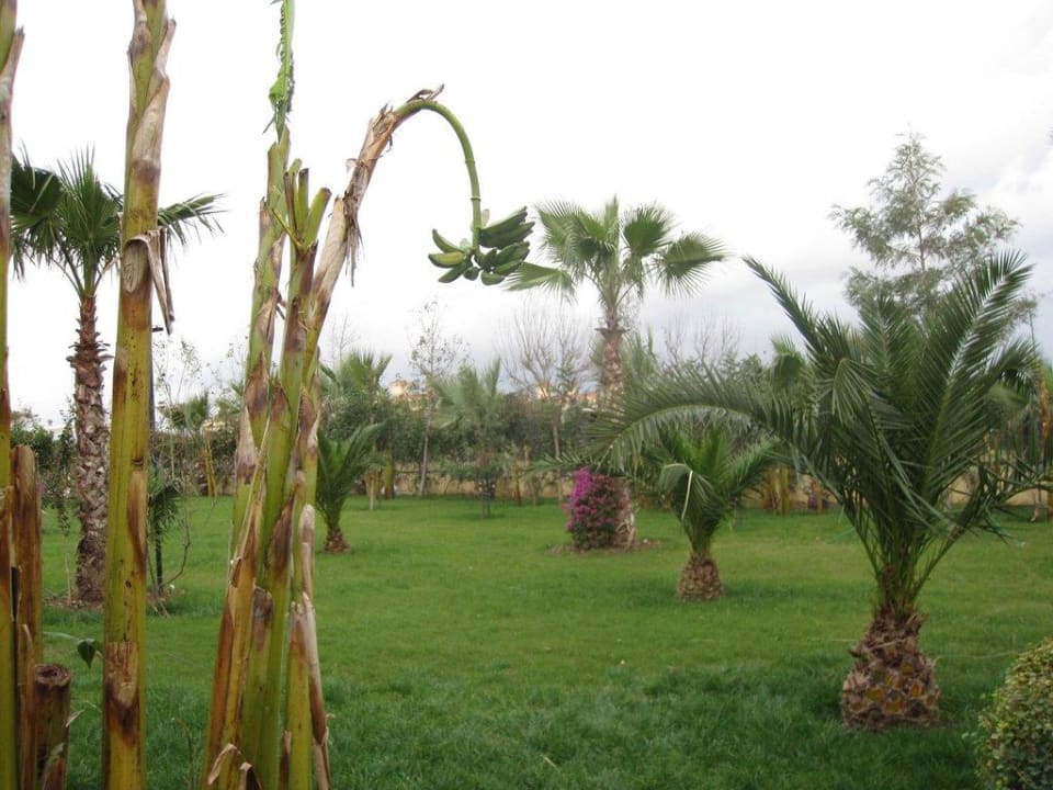 Garten Belek Beach Resort Hotel