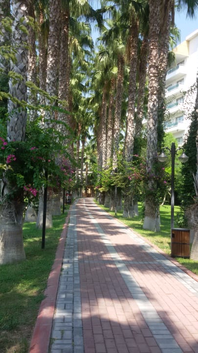 Sonstiges Hotel Gardenia Beach