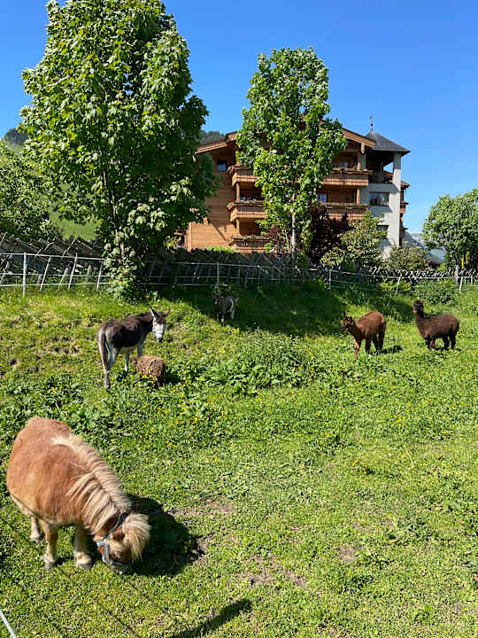 Gartenanlage Hotel Unterschwarzachhof