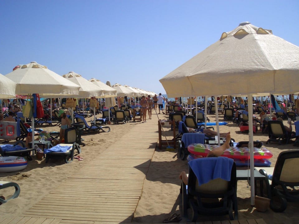 Liegen am Strand Sentido Trendy Verbena Beach