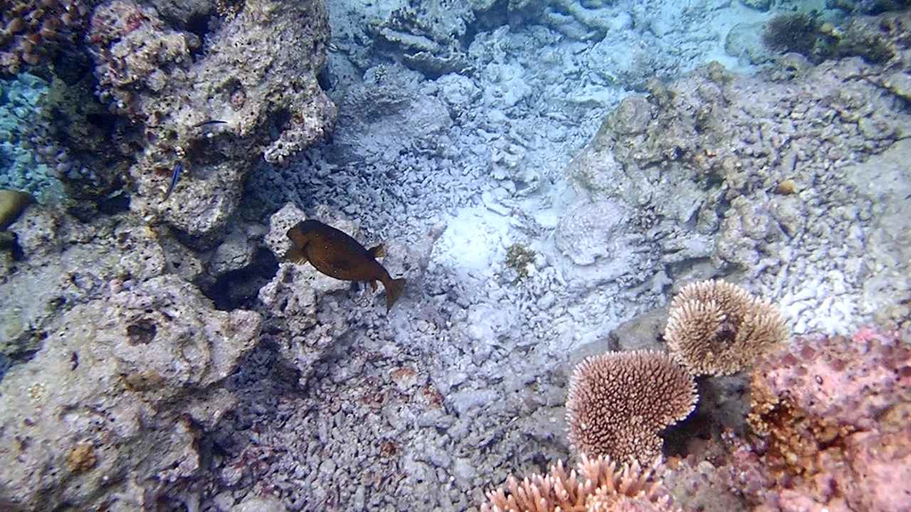 Sonstiges Vilamendhoo Island Resort & Spa